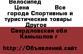 Велосипед Viva Castle › Цена ­ 14 000 - Все города Спортивные и туристические товары » Другое   . Свердловская обл.,Камышлов г.